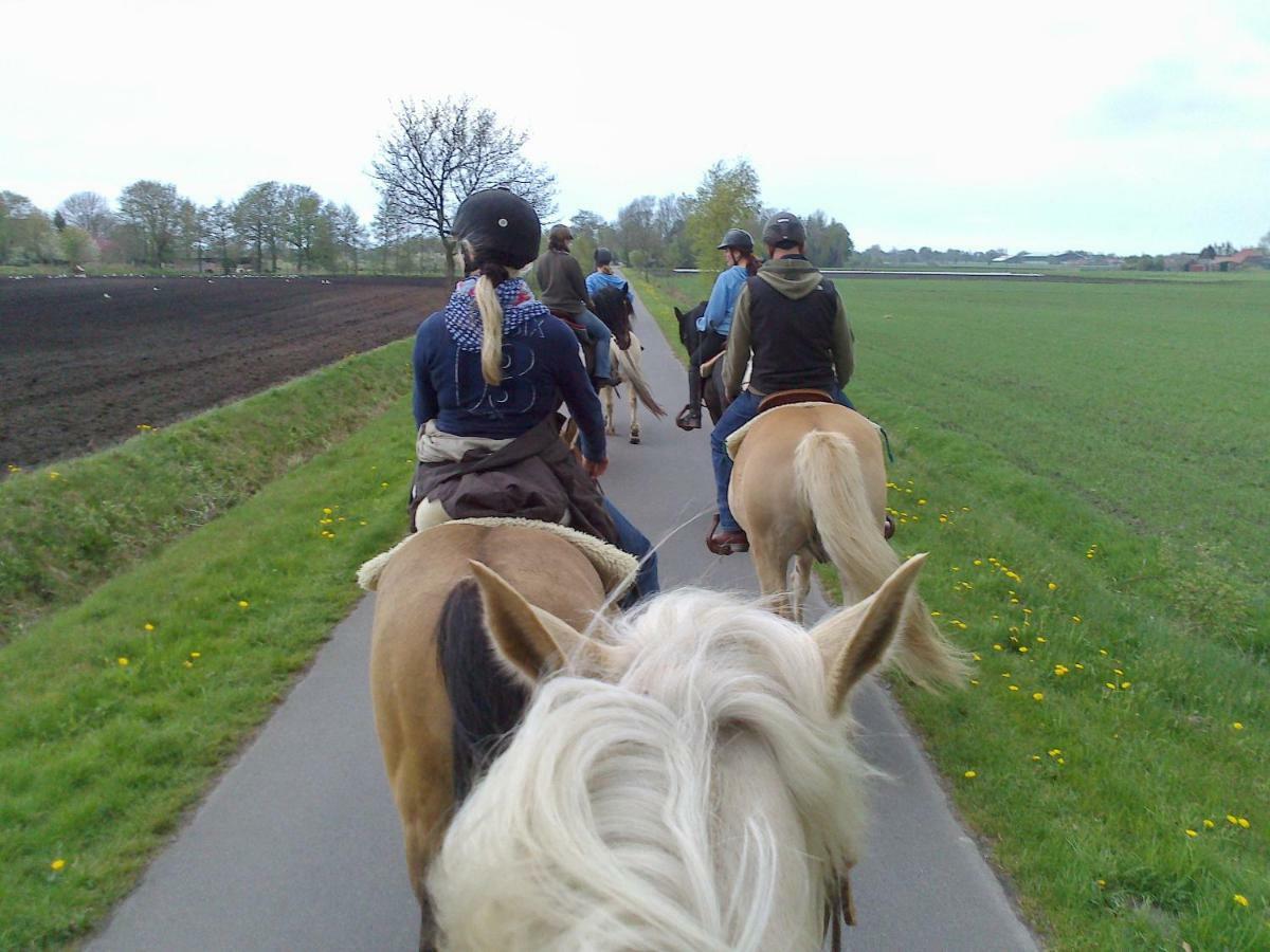 Ferien- Und Reiterparadies Vosshoernerhof Neuschoo 외부 사진
